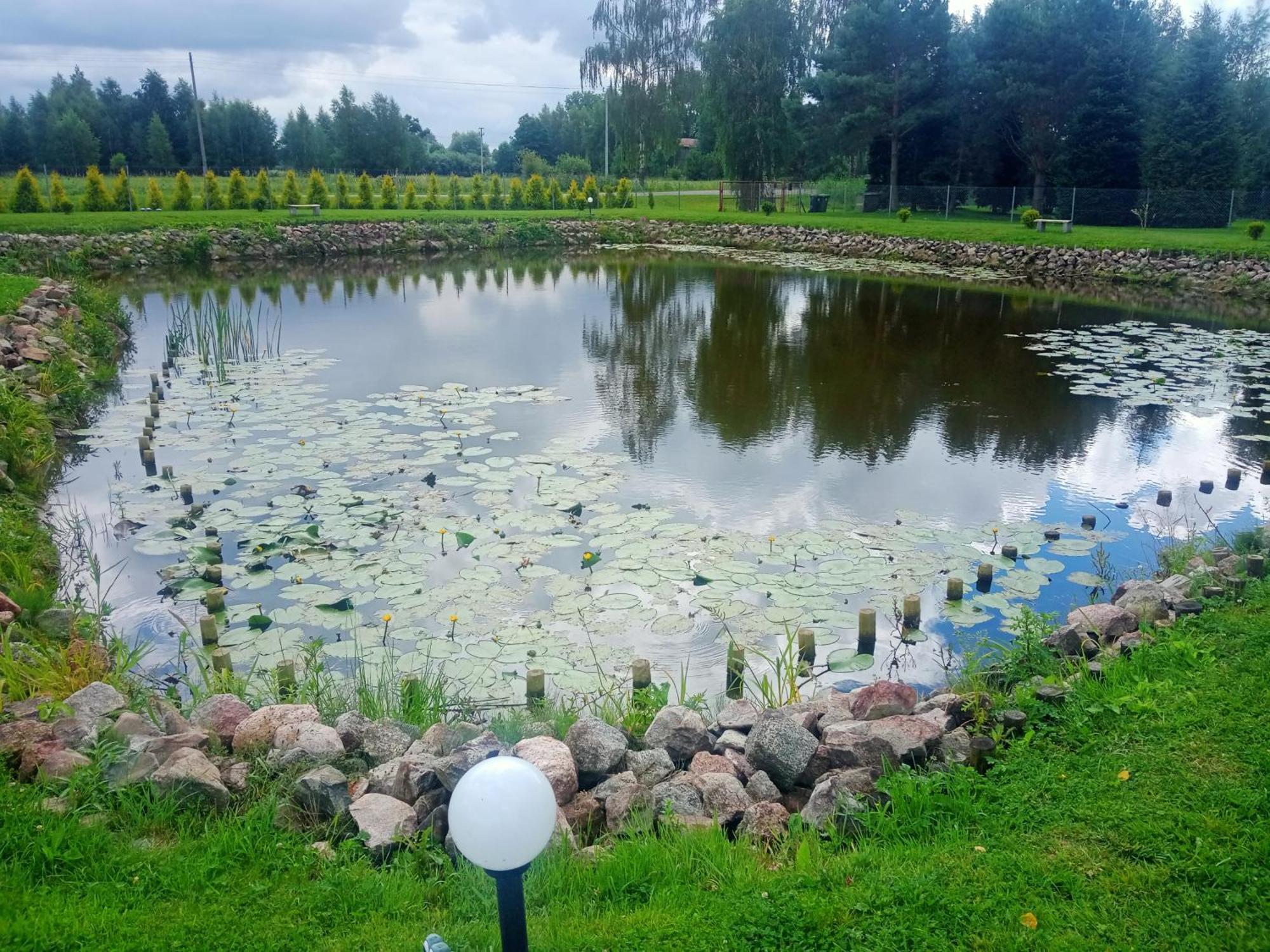 Domki Nad Stawem Stegna (Pomerania) Exterior foto